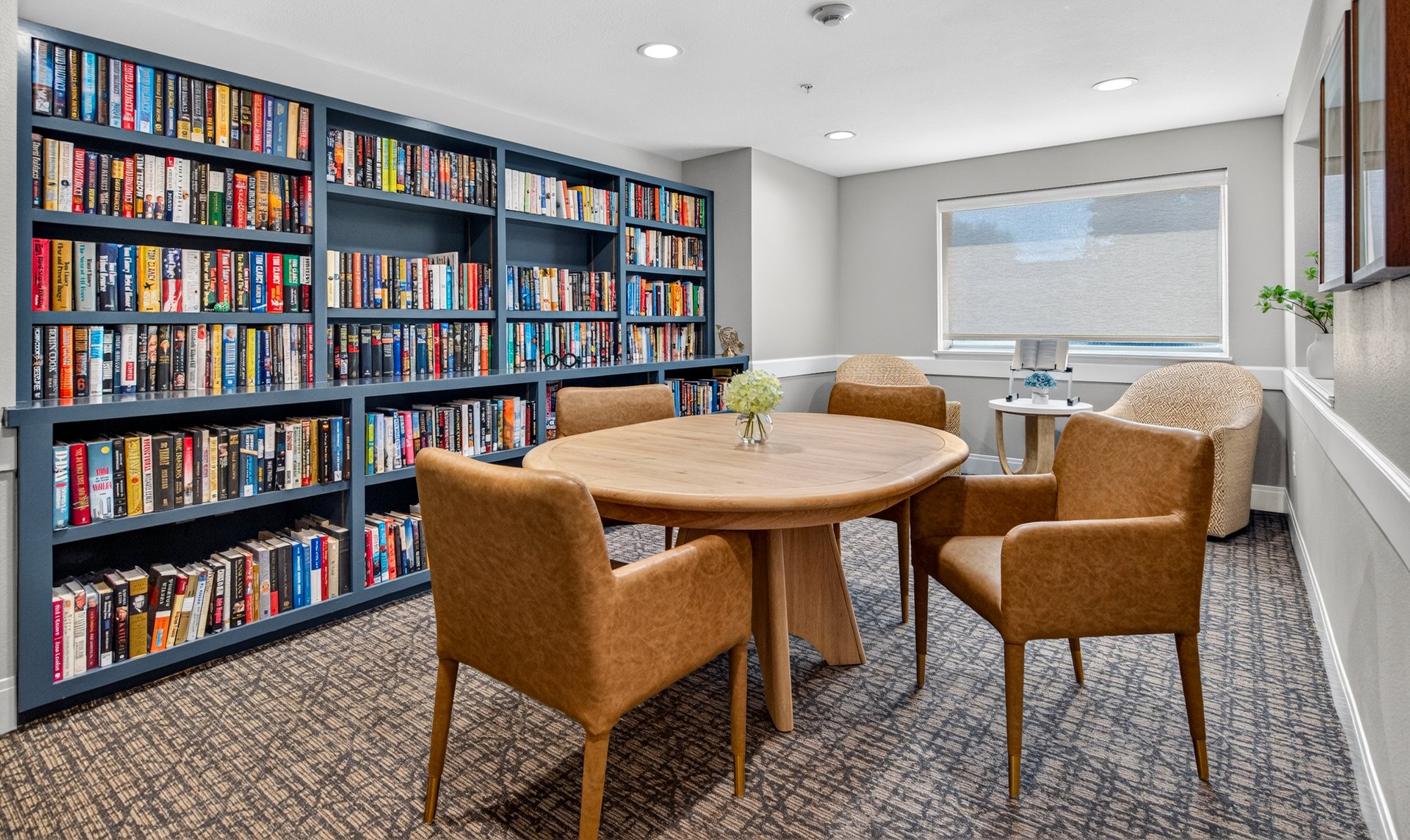 Vista Grande-Condor-Library 1